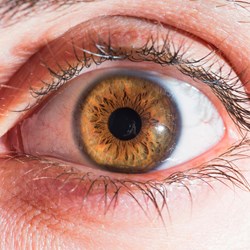 Image for Arabic - Your guide to diabetic retinopathy