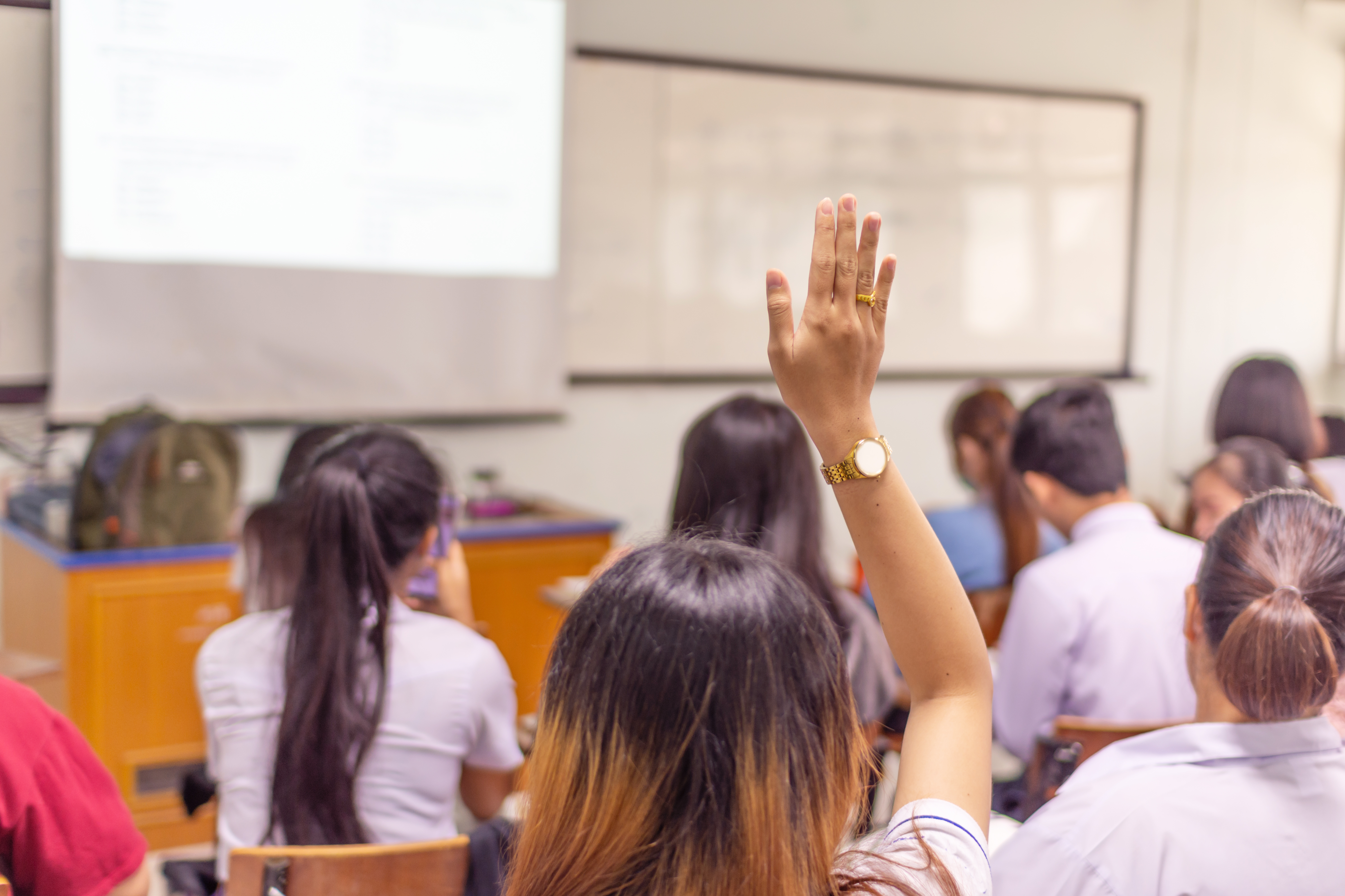 Image for Care in School Helpline