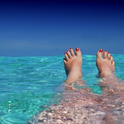 Image for Polish - Holiday Feet