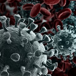 Image for NHS Coronavirus