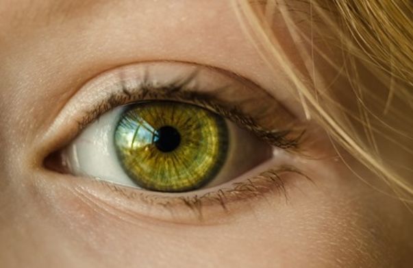 Image for Eyes