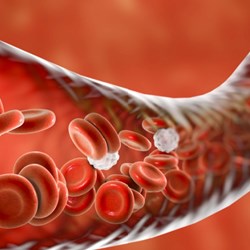 Image for Blood Glucose Tests Explained