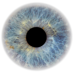 Image for Eye Problems:  Retinopathy and eye screening