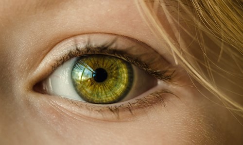 close-up-eye-eyelid-32267.jpg