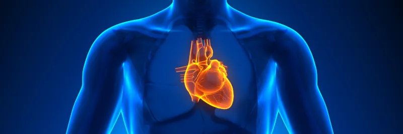 Heart and Vascular Disease