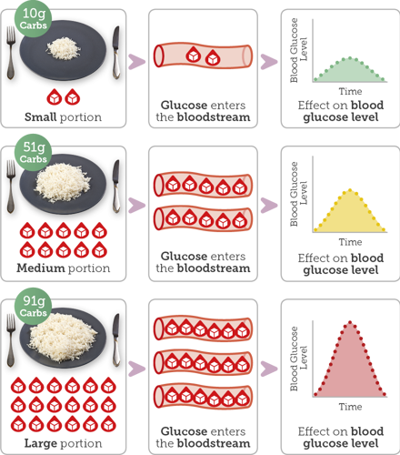Diagram showing different sized portions of rice and then impact on your blood glucose levels