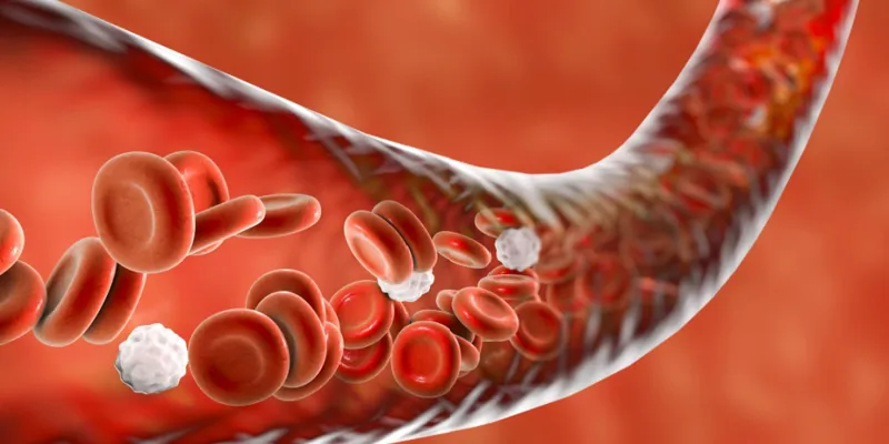 Blood 1000x500.jpg