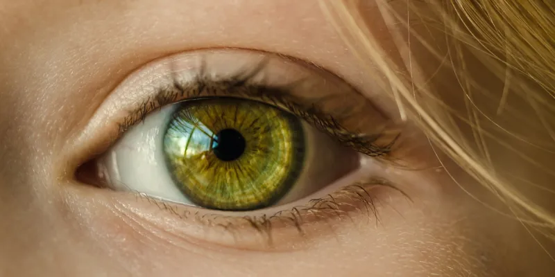 eyes-1000x500.png